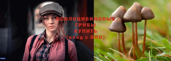 эйфоретик Алексин