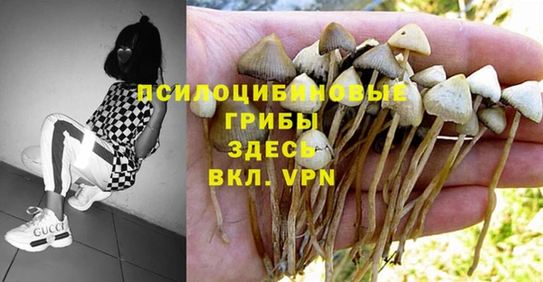 круглые Горняк