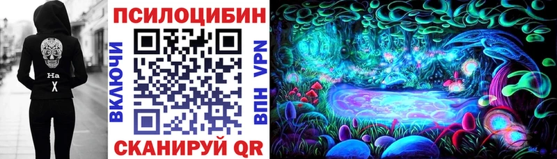 Купить где  Воскресенск  Галлюциногенные грибы GOLDEN TEACHER 