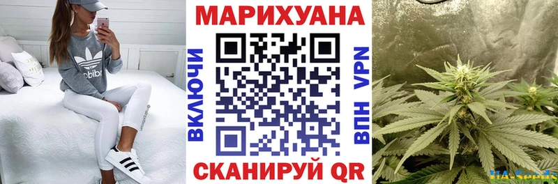Купить где  Воскресенск  Марихуана план 